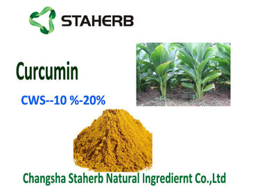 Китай Естественный порошок КВС турмерина пищевых добавок натуральных продуктов куркумина - куркумин 10% поставщик