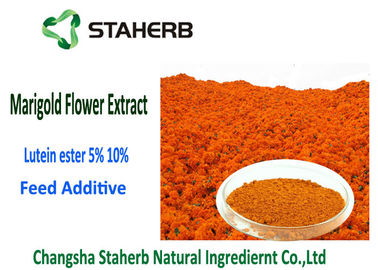 Китай Цвет порошка выдержки цветка ноготк эстера 5% лутеина оранжевокрасный 2 лет срока годности при хранении поставщик