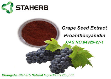 Китай ОПК 95% КАС 84929 выдержки семени виноградины ингредиентов макияжа анти- оксиданта органический 27 1 поставщик