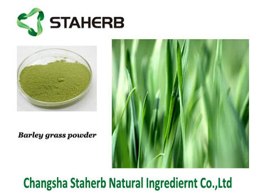 Китай Брызги зеленого цвета Гине порошка сока травы ячменя травы - высушенное извлечение поставщик
