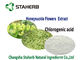 чистая хлорогеновая кисловочная естественная выдержка КАС 327 завода 80%ХПЛК 97 9 продуктов здоровья поставщик