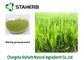 Брызги зеленого цвета Гине порошка сока травы ячменя травы - высушенное извлечение поставщик