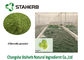 Порошок зеленых водорослей порошка выдержки протеина хлореллы Вегетабле поставщик