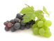 Ресвератрол 5% Кас Но.501-36-0 ингредиентов выдержки кожи виноградины естественный косметический поставщик