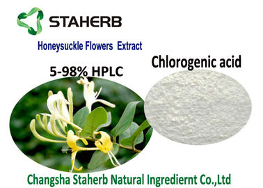 Китай Органические естественные косметические ингредиенты, кислота 5-98% КАС 327 выдержки цветка каприфолия хлорогеновая 97 9 поставщик