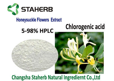 Китай Выдержка ранга Фарма хлорогеновая кисловочная, выдержка цветка каприфолия АПИ естественная поставщик