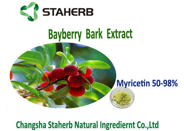 Китай Мирицетин 50%-98% зеленого цвета выдержки порошка коры Байберры Антиоксидатион желтый поставщик