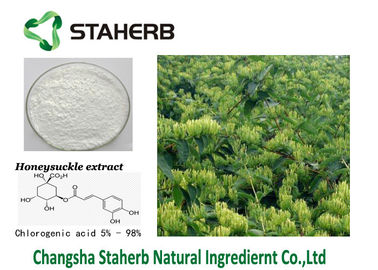Китай Выдержка цветка Хонейсучле выдержки КАС 327-97-9 хлорогеновая кисловочная уменьшает жару поставщик