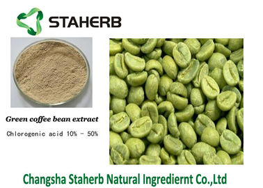 Китай Хлорогеновая кислота, утяжеляет проигрышную зеленую выдержку КАС кофейного зерна НИКАКОЕ 327-97-9 поставщик