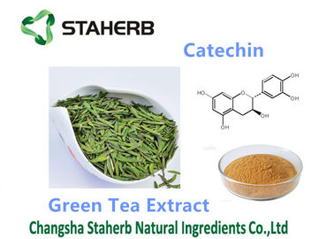 Китай Порошок катехина 50-98% пищевой добавки выдержки зеленого чая противоокислительн поставщик