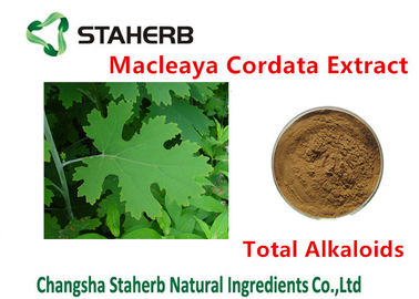 Китай Противобактериологический цвет алкалоидов 20%-60% Браун итога выдержки Кордата Маклеая завода поставщик