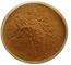 Сырье Нусиферине Кас но.475-83-2 веса лист лотоса проигрышное поставщик
