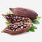 Естественной бурый порох порошка плода какао обезвоженный выдержкой алкализированный качеством еды поставщик