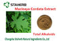 Противобактериологический цвет алкалоидов 20%-60% Браун итога выдержки Кордата Маклеая завода поставщик