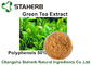 Полифенолы выдержки зеленого чая выдержек завода желтого бурого дымного пороха естественные 50% ХПЛК поставщик
